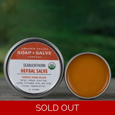 Seabuckthorn Herbal Salve